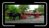 257-5742_IMG * 800 x 382 * (159KB)